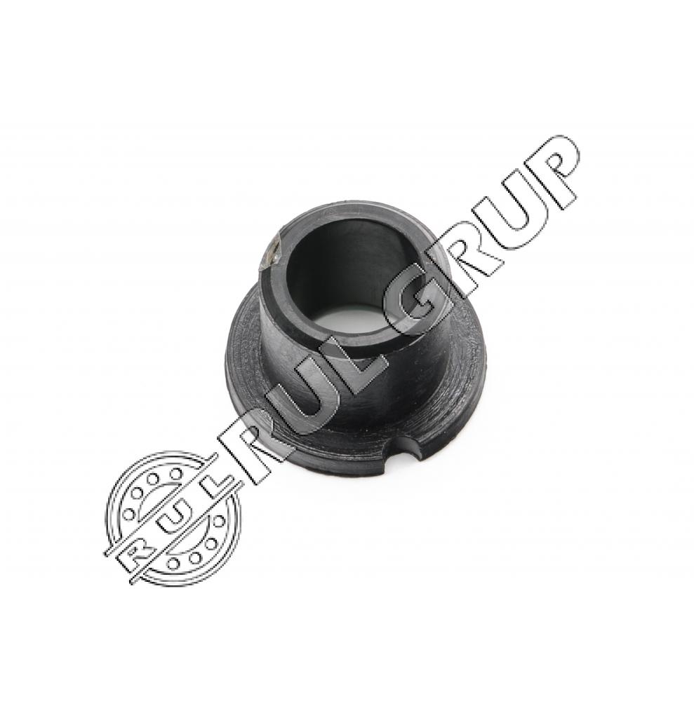 SUP29 BUCSA SUP48 2.4.1.3